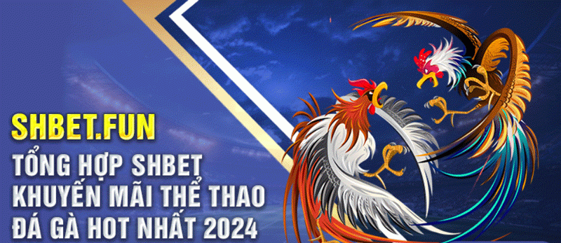 Shbet khuyến mãi thể thao Đá gà