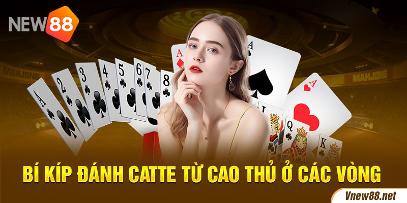 Về chúng tôi